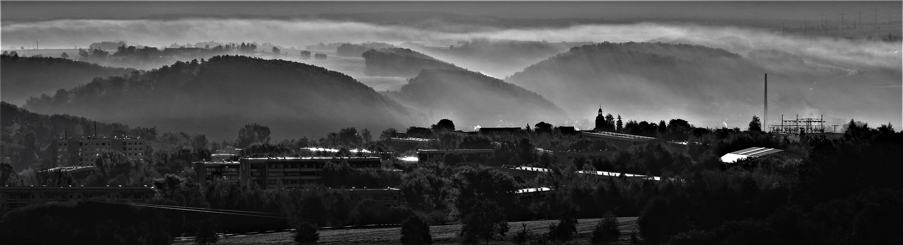 Morgennebel im Elstertal