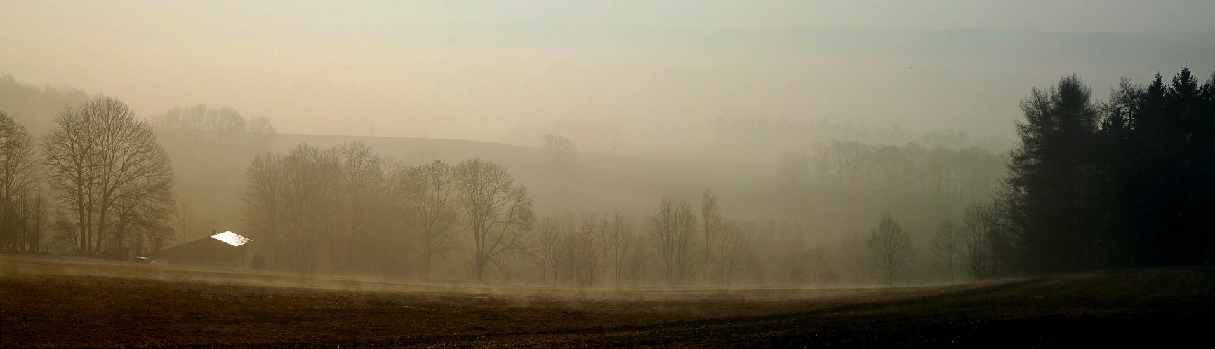 Morgennebel im Erzgebirge