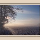 Morgennebel im Februar...