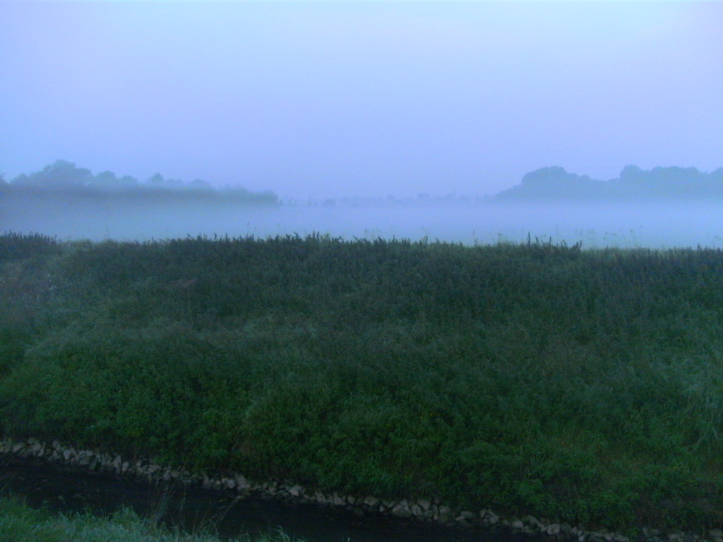 Morgennebel im Frühherbst 1