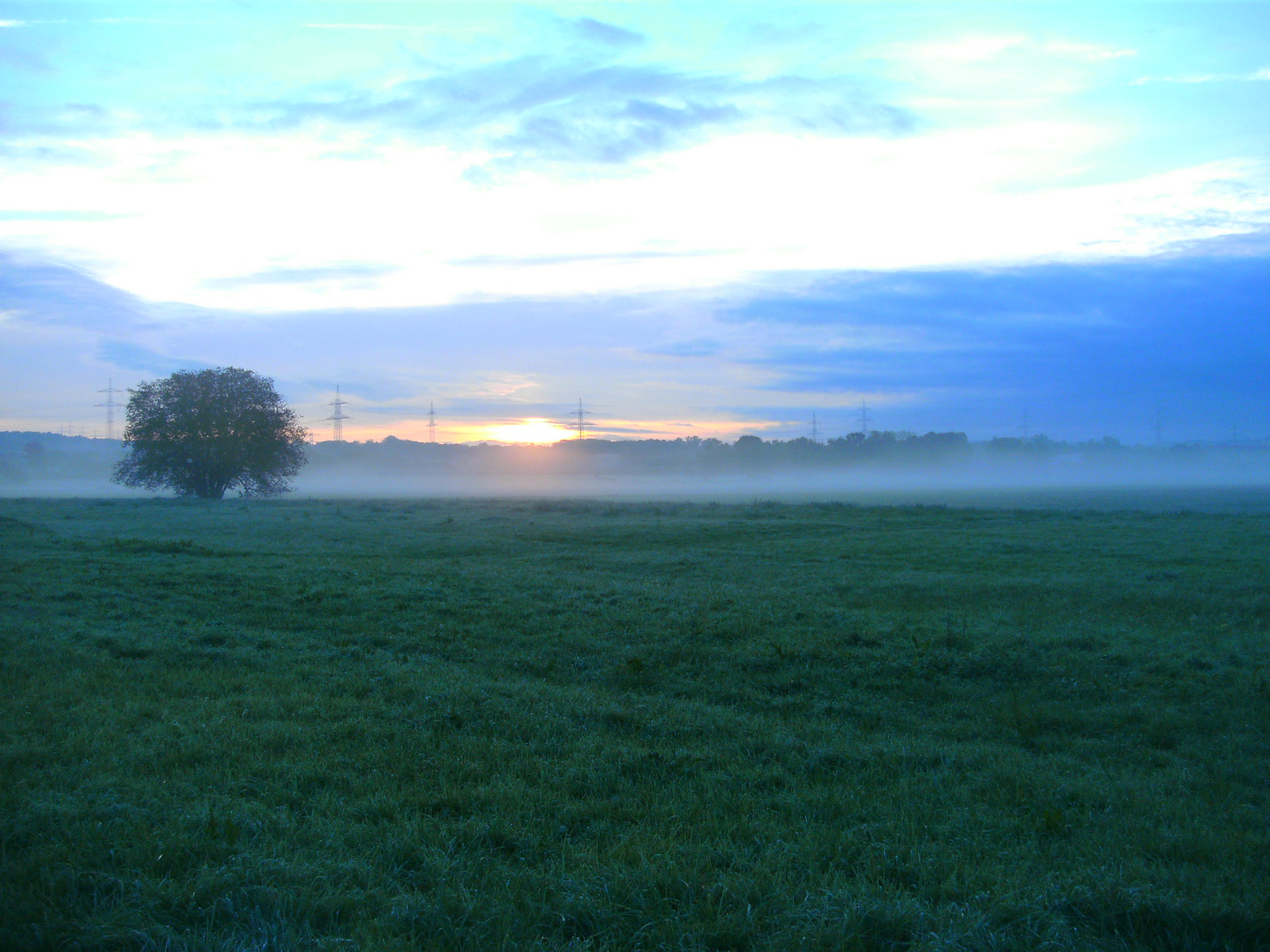 Morgennebel im Frühherbst 11