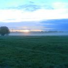 Morgennebel im Frühherbst 11