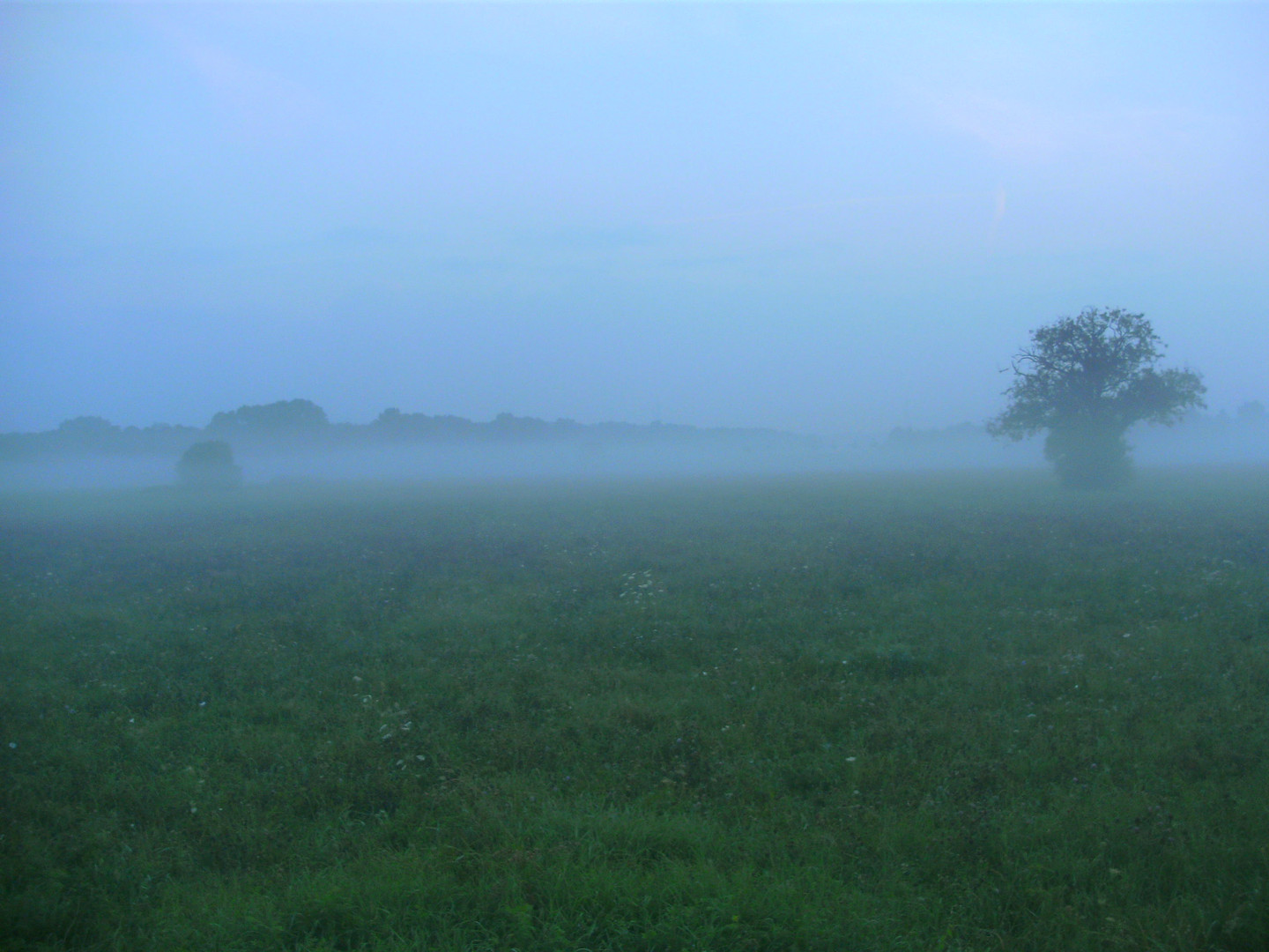 Morgennebel im Frühherbst 3