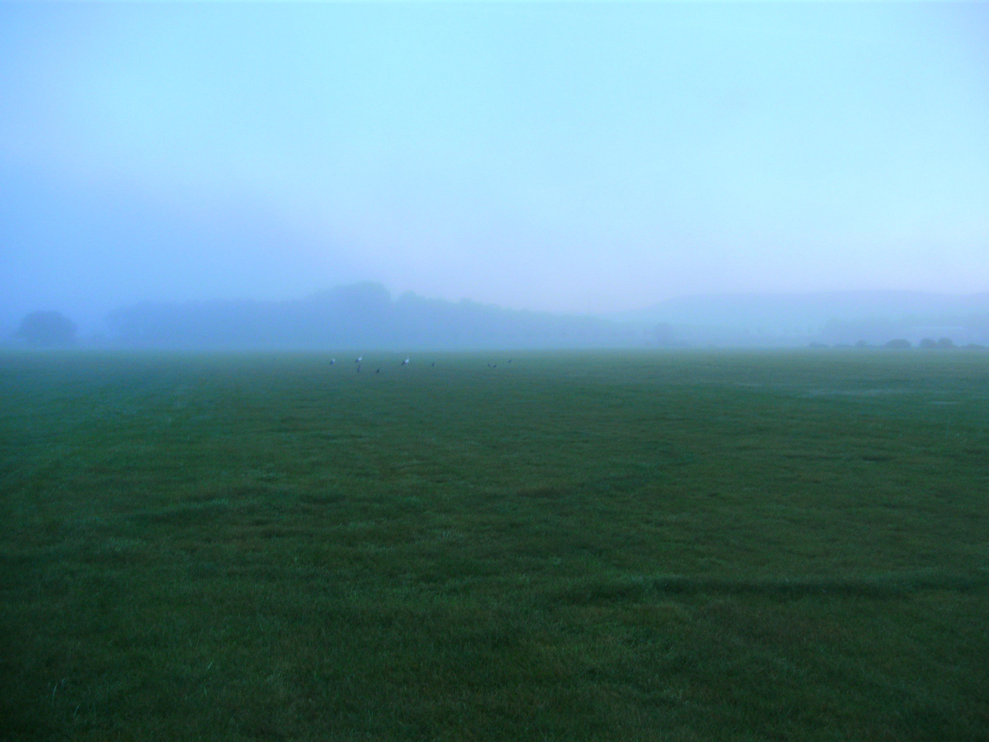 Morgennebel im Frühherbst 6