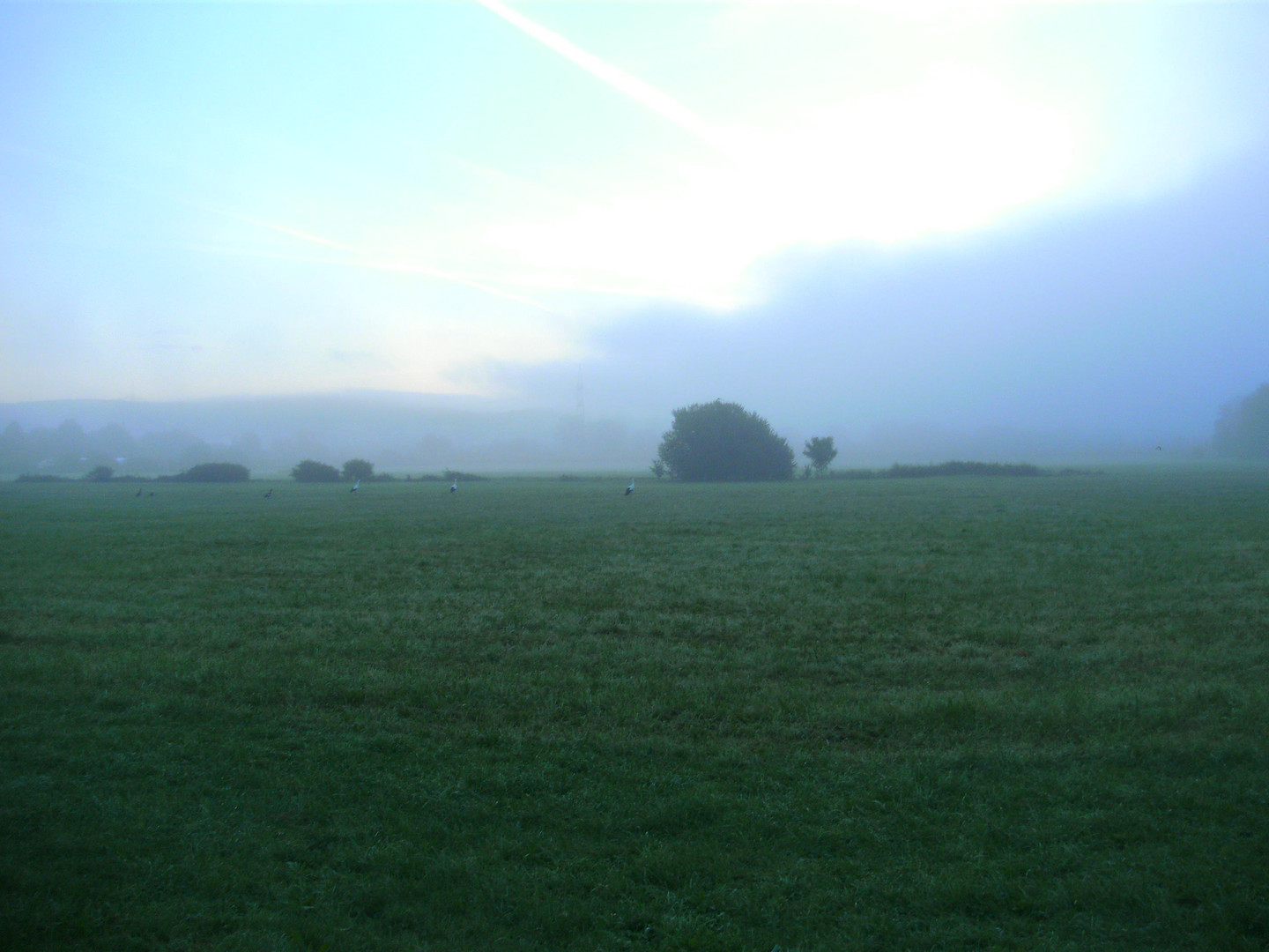 Morgennebel im Frühherbst 7