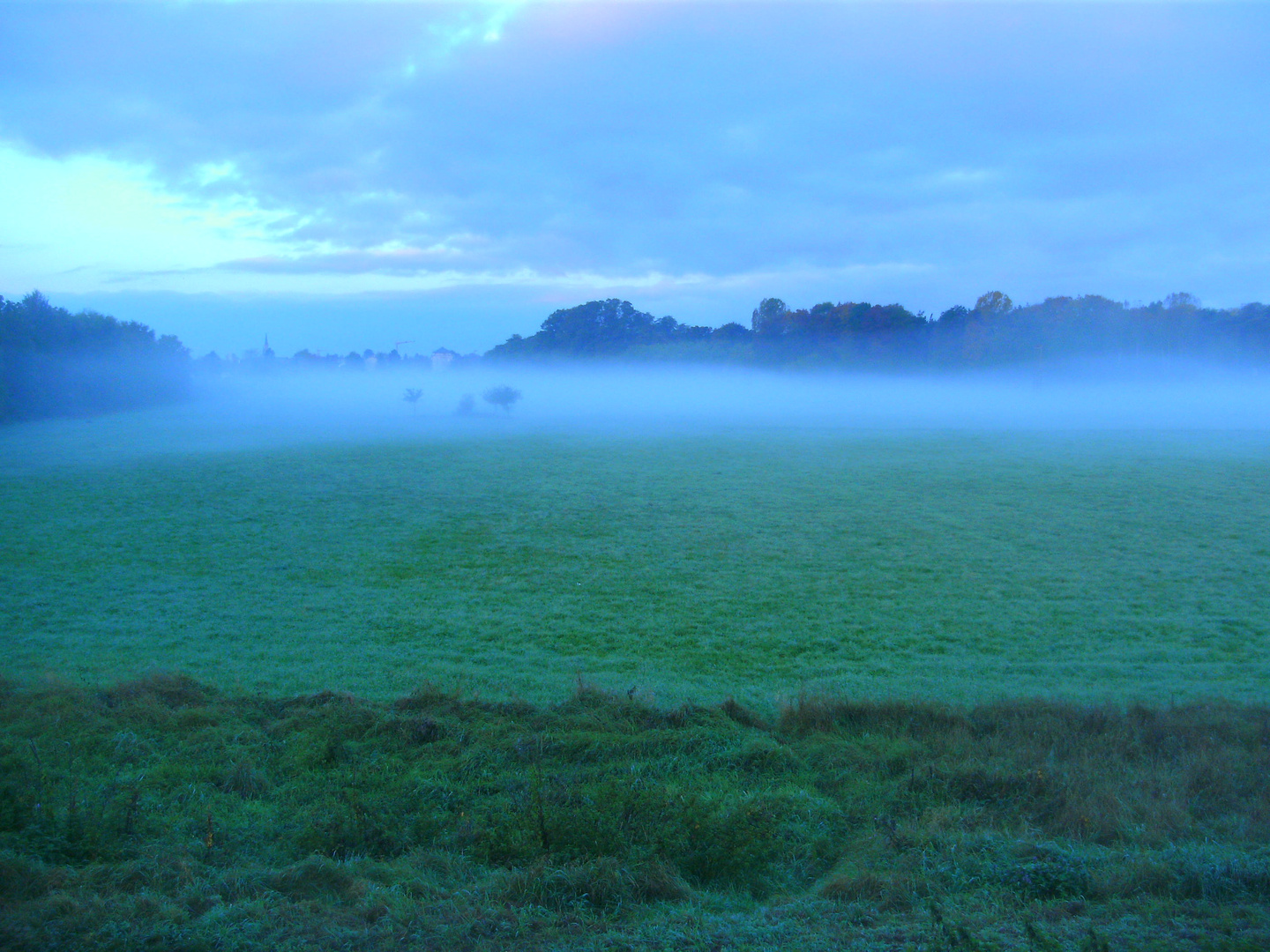 Morgennebel im Frühherbst 8