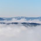 Morgennebel im Frühling 