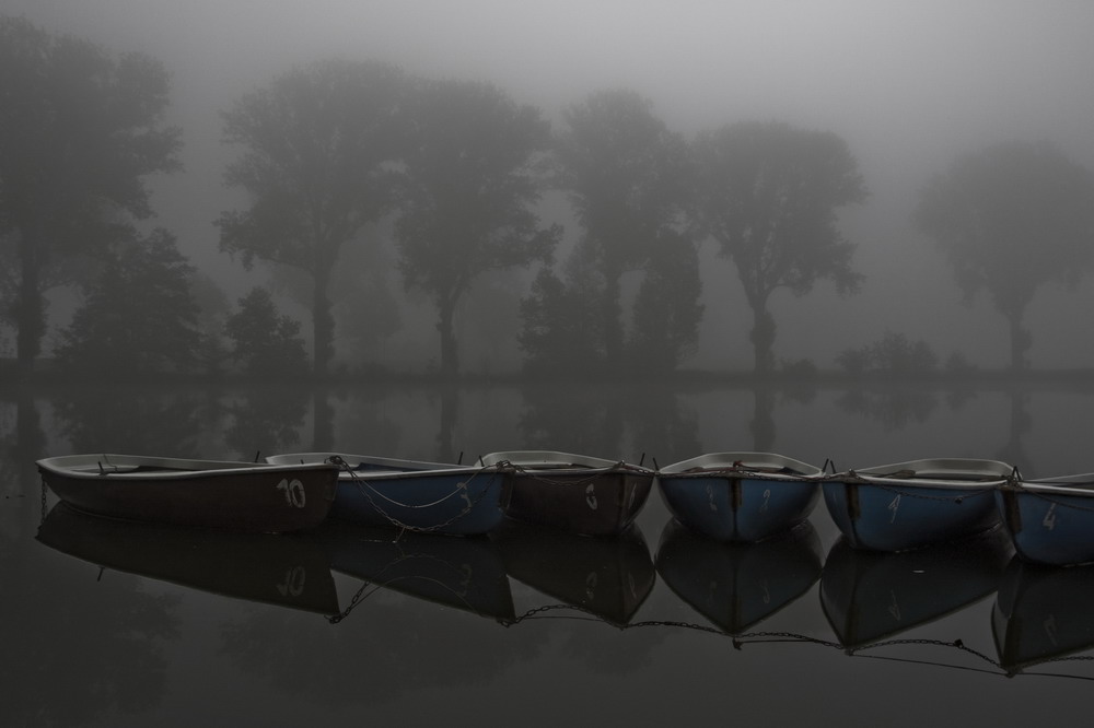 Morgennebel im Hain, Bamberg