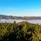 Morgennebel im Harz