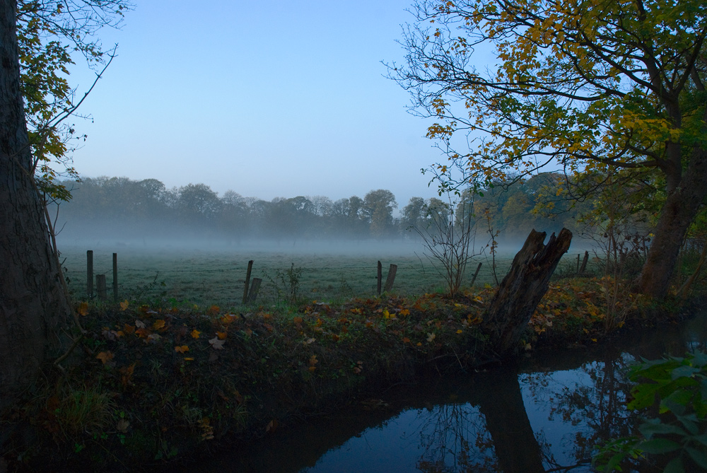 Morgennebel im Herbst