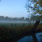 Morgennebel im Herbst