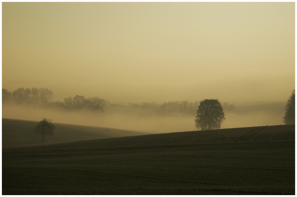 Morgennebel im Herbst