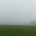 Morgennebel im Herbst