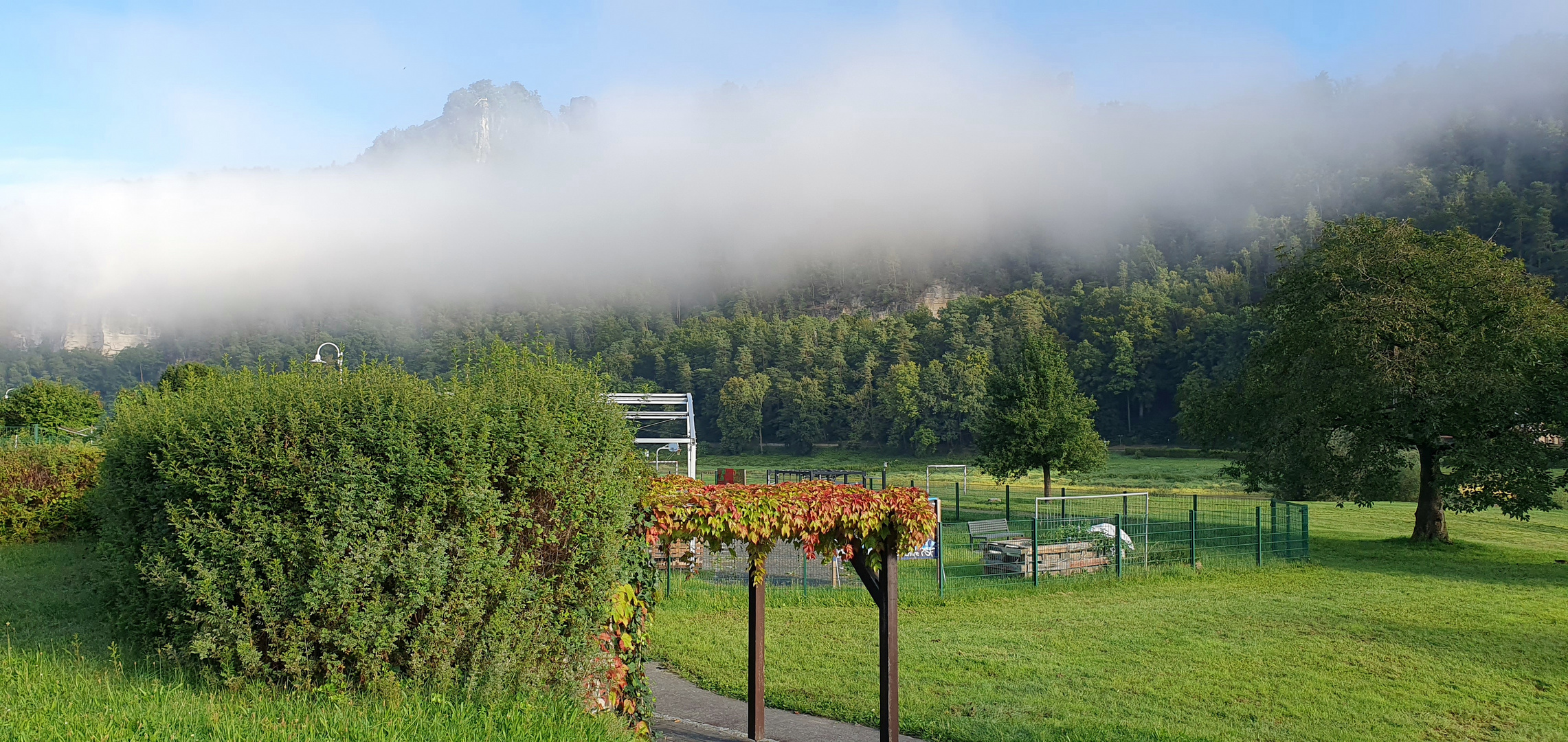 Morgennebel im Herbst