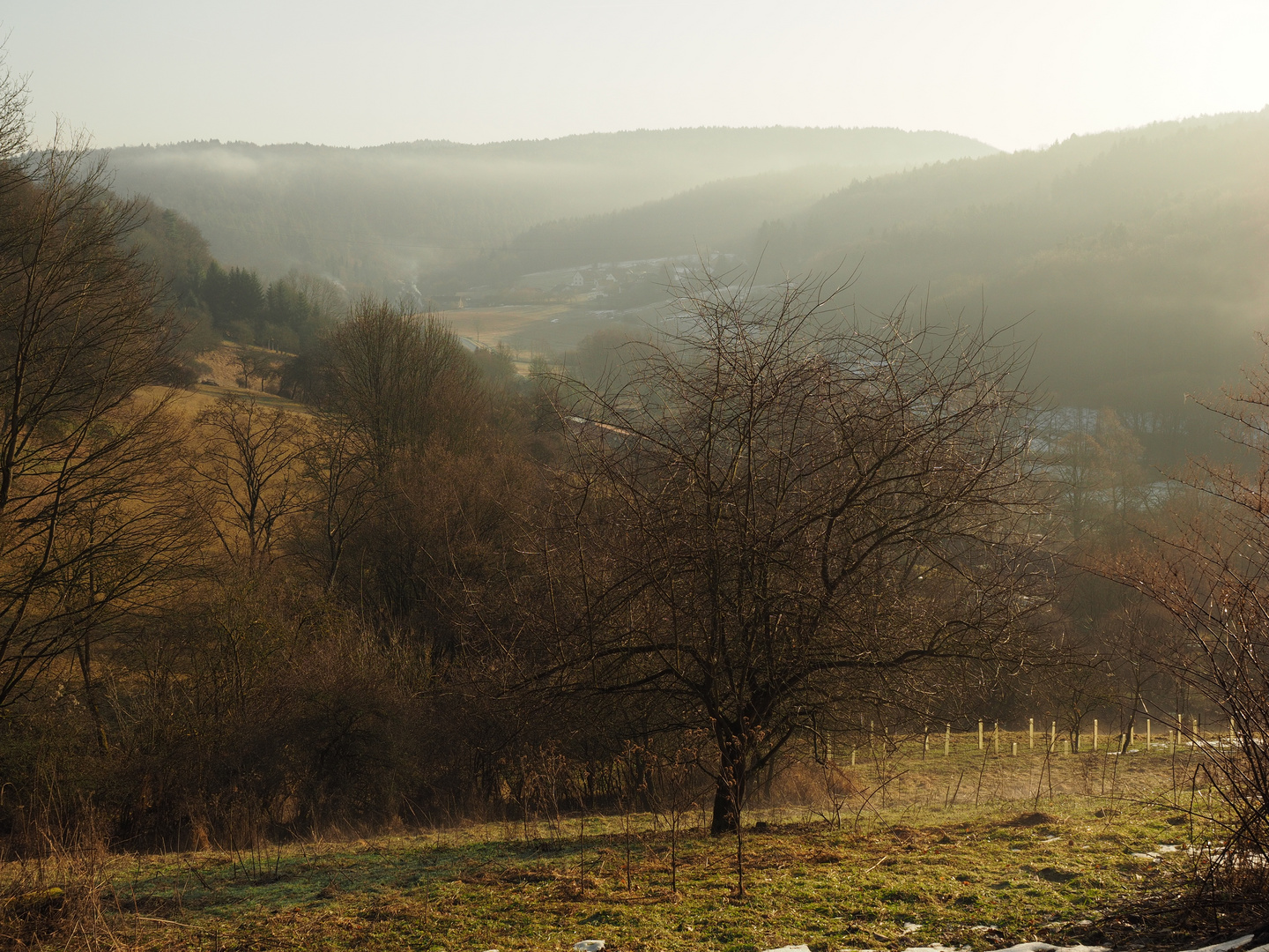 Morgennebel im Hirschbachtal