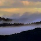 Morgennebel im Hochwald