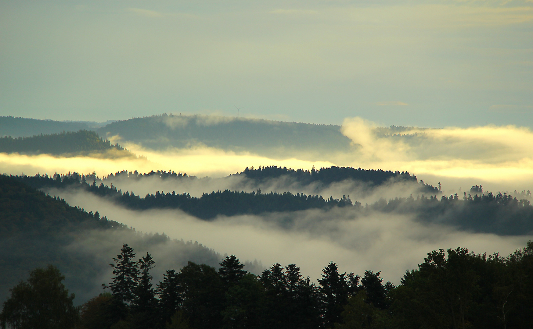 Morgennebel im Kinzigtal