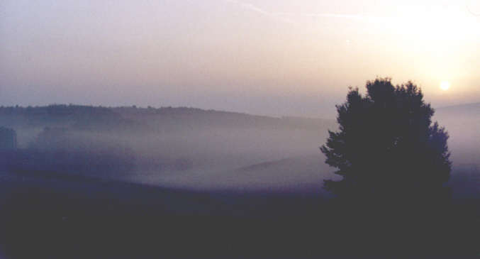 morgennebel im knüll