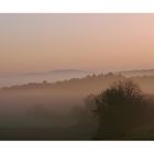 Morgennebel im Kraichgau