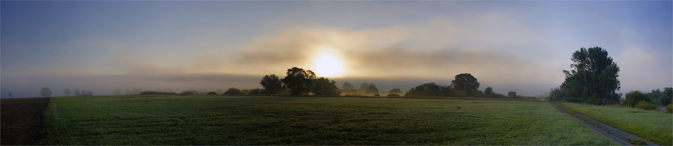 Morgennebel im Maintal