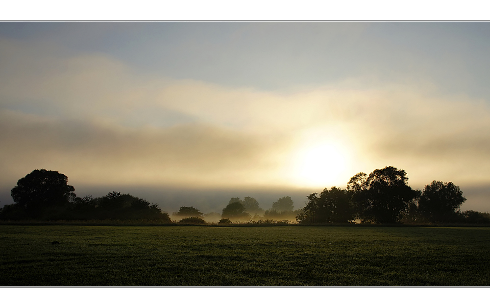 Morgennebel im Maintal II