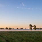 Morgennebel im Moor 