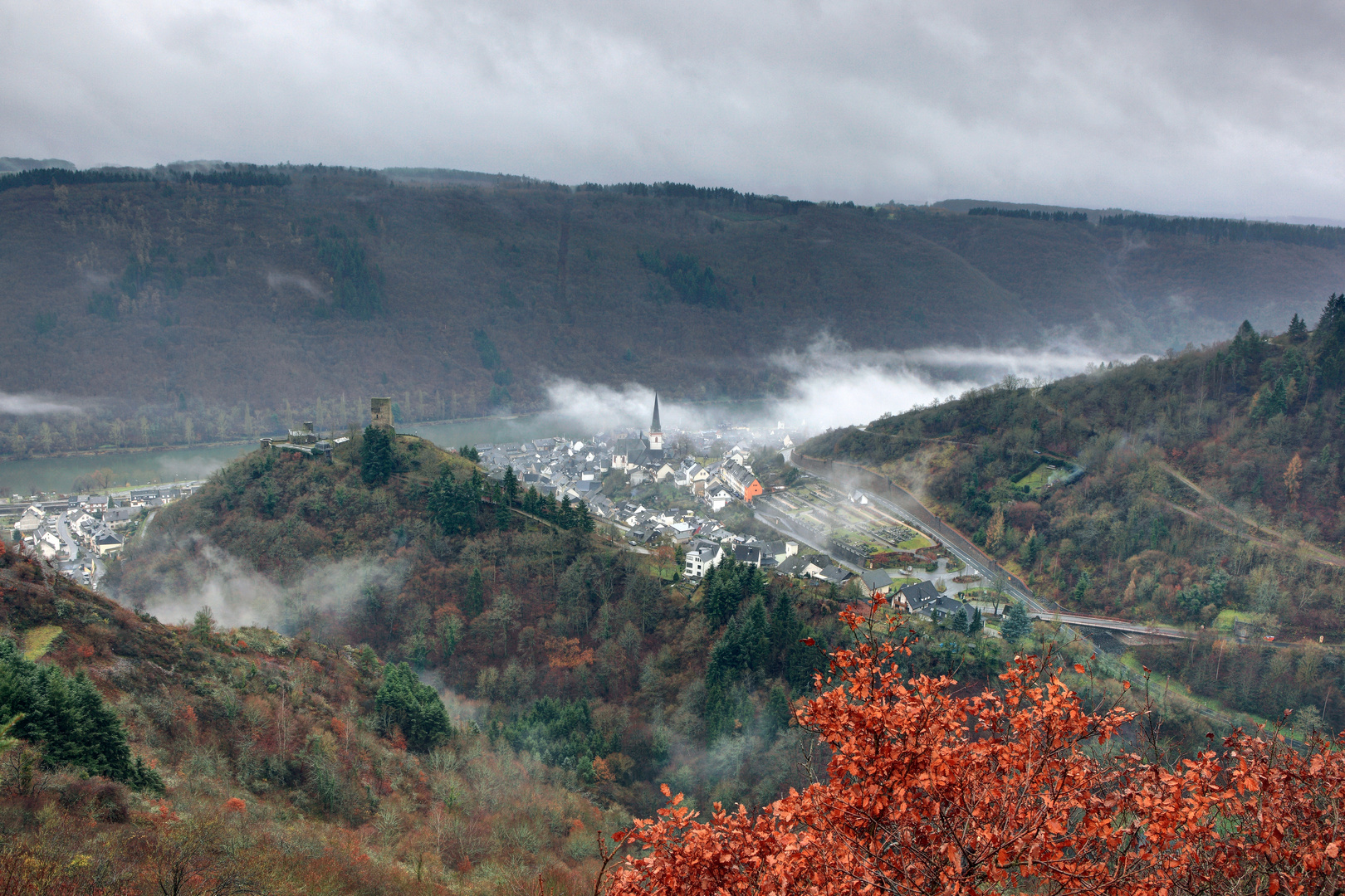 Morgennebel im Moseltal bei Klotten