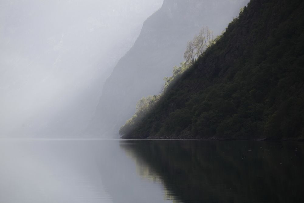 Morgennebel im Naeröfjord 3