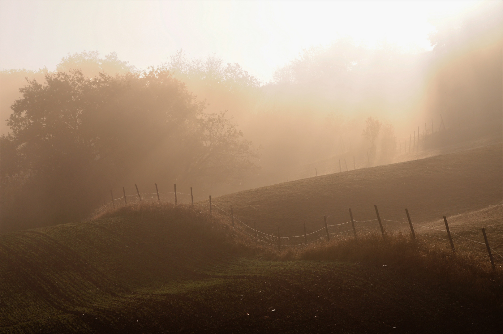 Morgennebel im Nahetal 