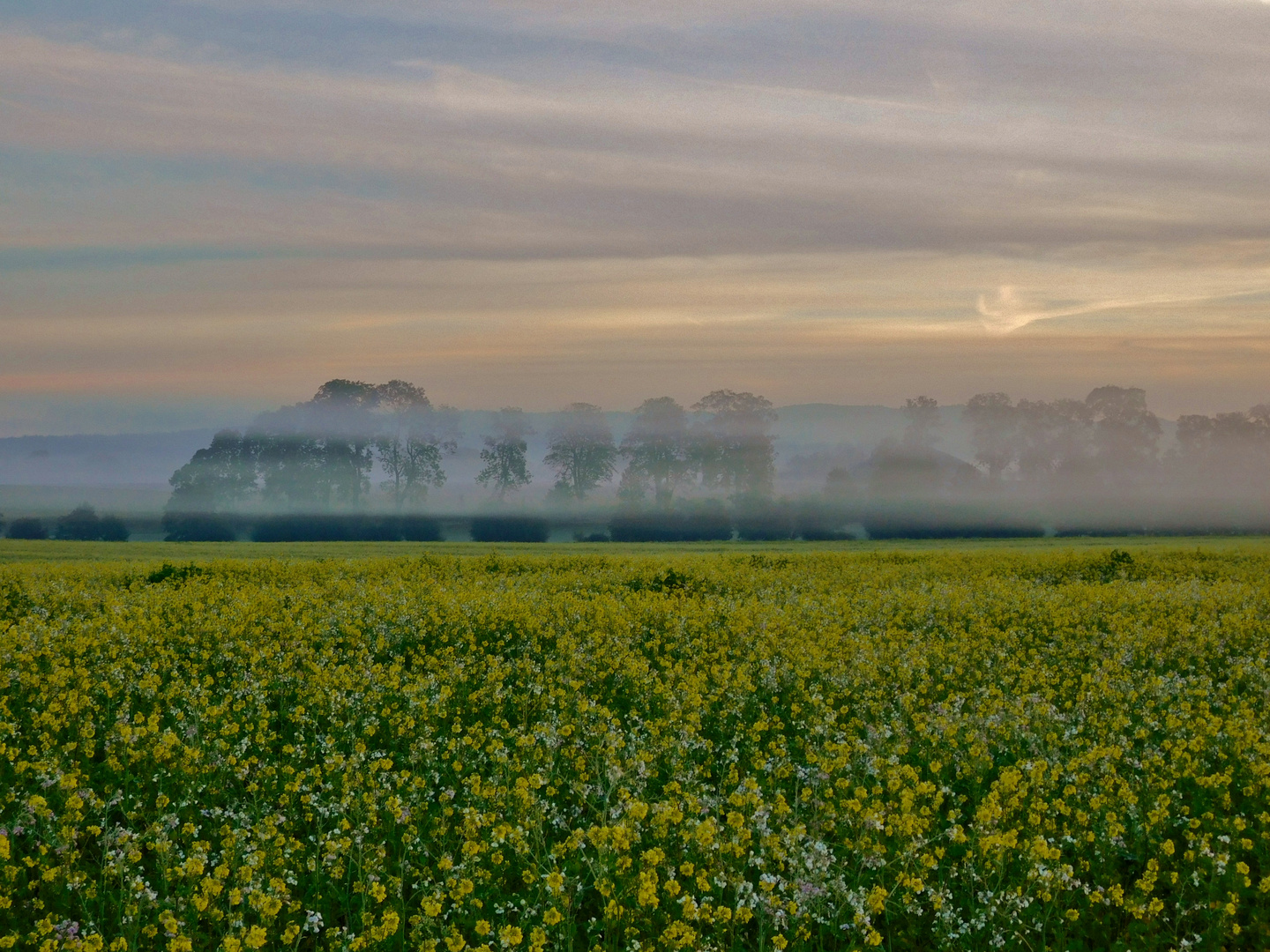 Morgennebel im Oktober