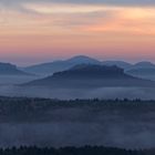 Morgennebel im Pfälzer Wald