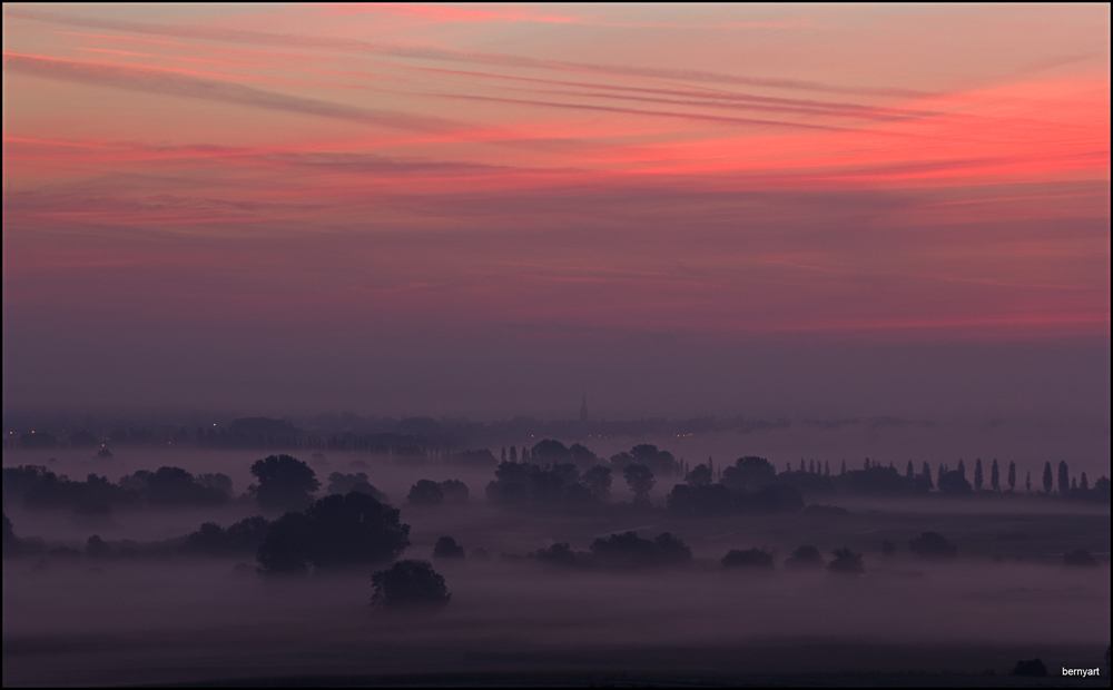 Morgennebel im Radolfzeller Aachried