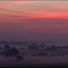 Morgennebel im Radolfzeller Aachried