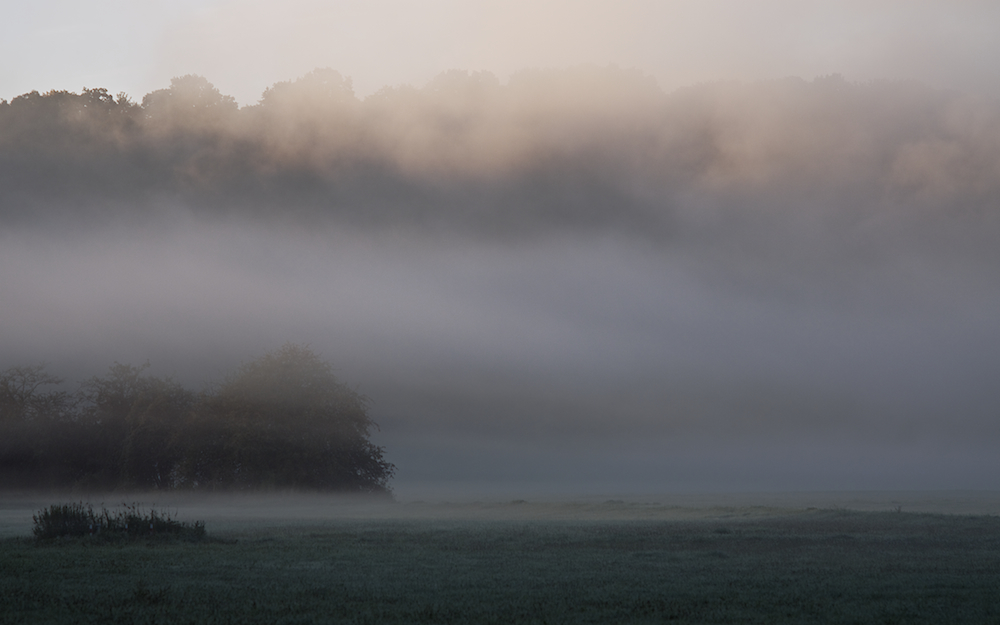 Morgennebel im Ruhrtal