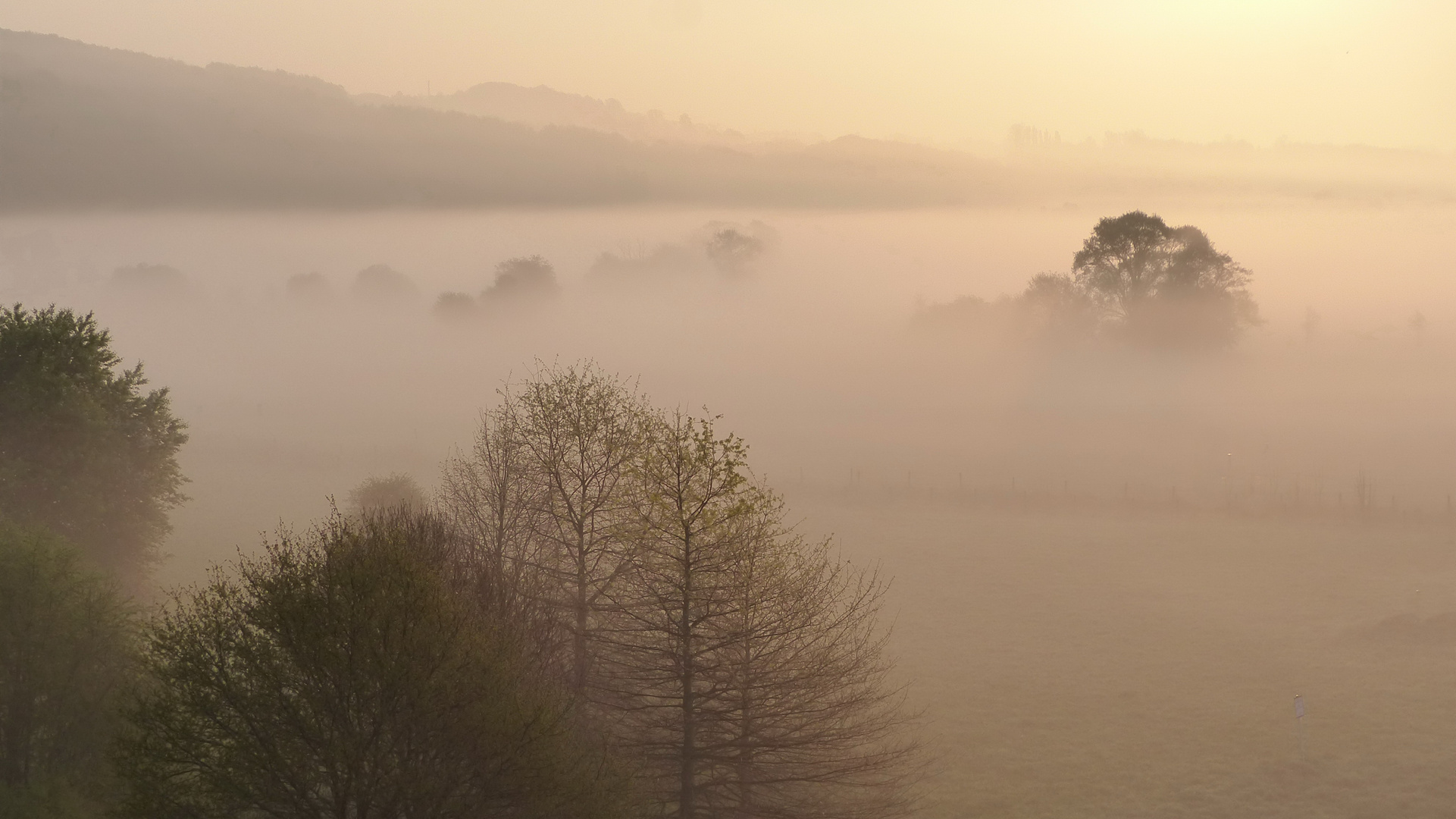 Morgennebel im Ruhrtal