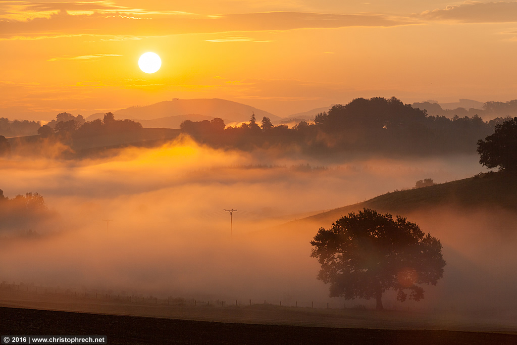 Morgennebel im Sauerland