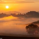 Morgennebel im Sauerland