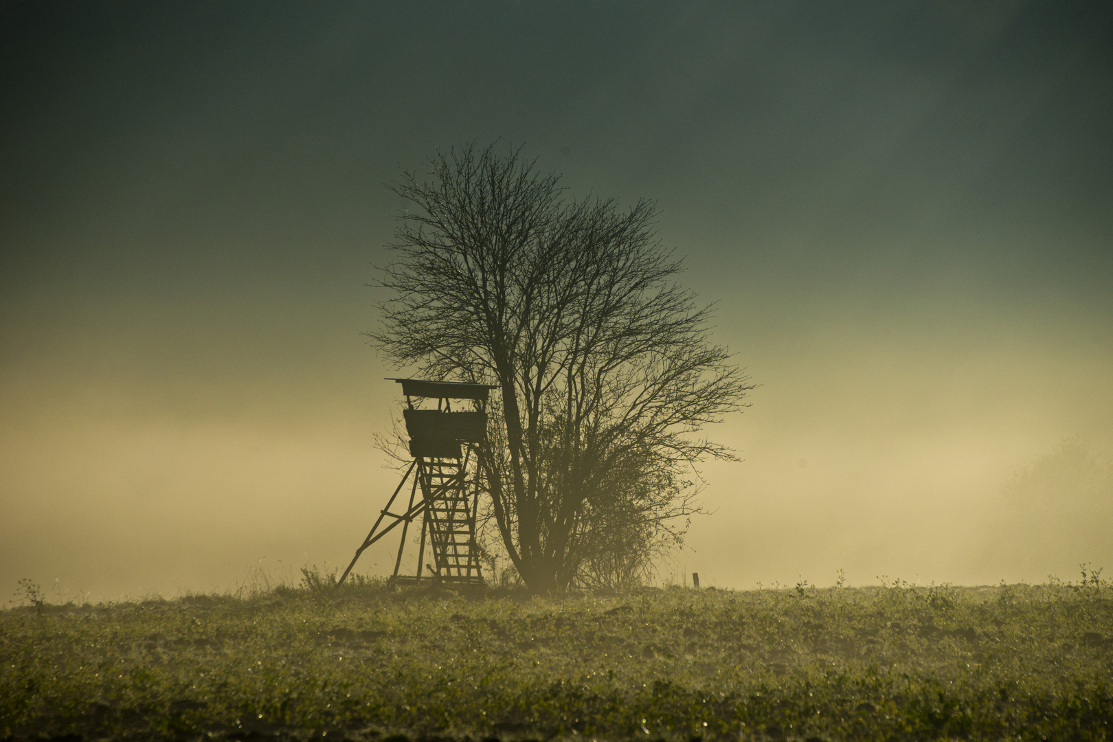 Morgennebel im Sauerland