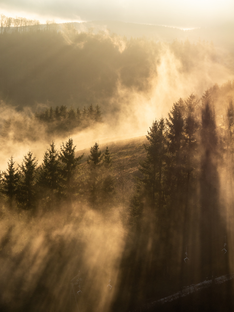 Morgennebel im Sauerland