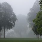 Morgennebel im Schloßpark