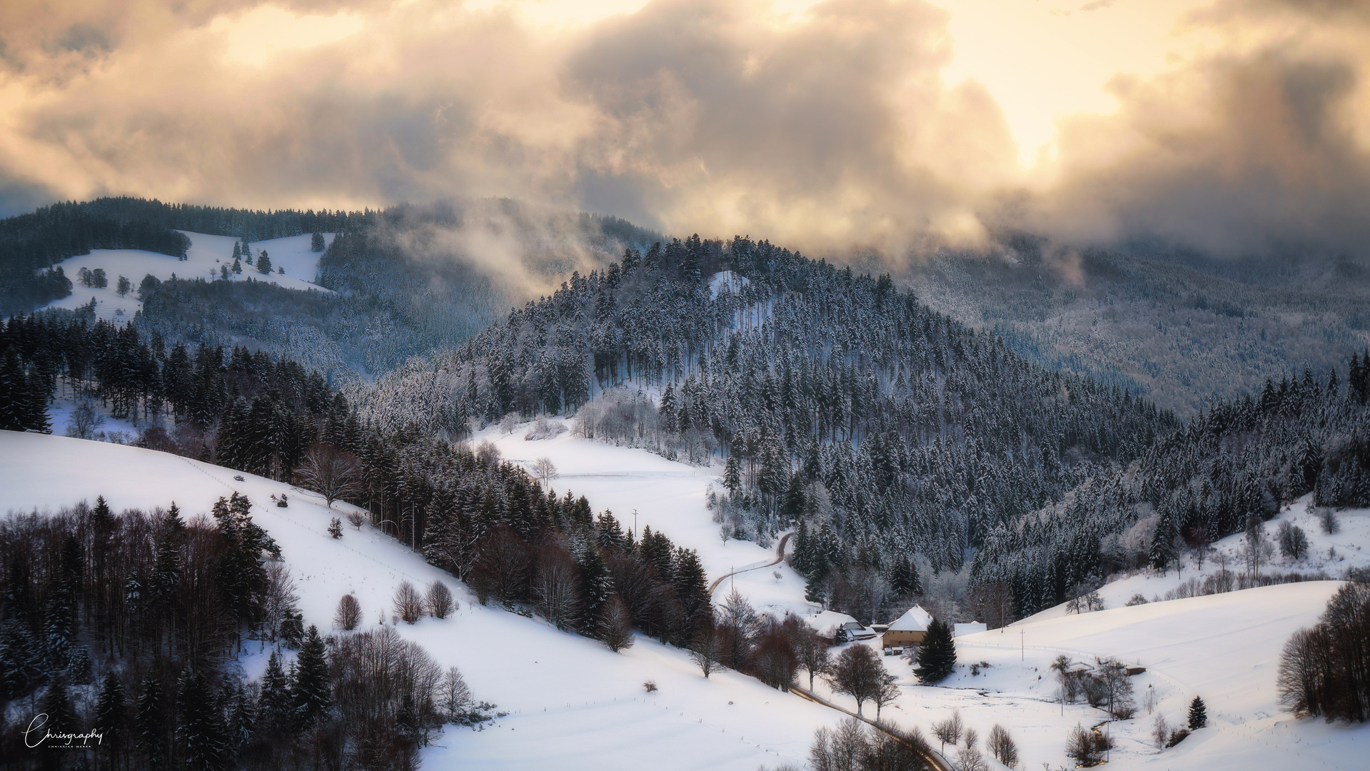 Morgennebel im Schwarzwald