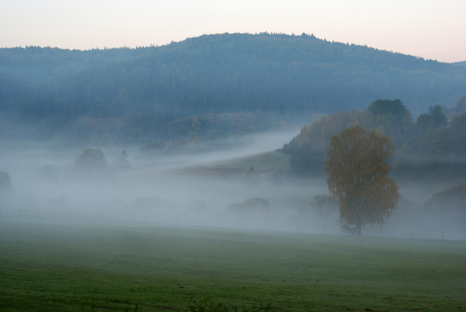 Morgennebel im Spessart