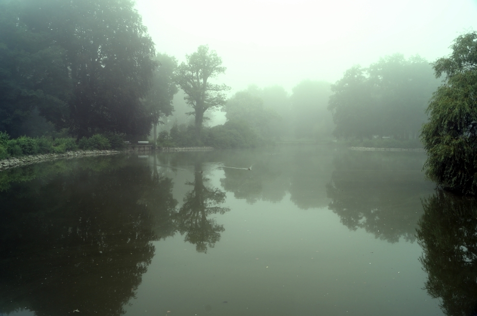 Morgennebel im Stadtpark