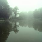 Morgennebel im Stadtpark