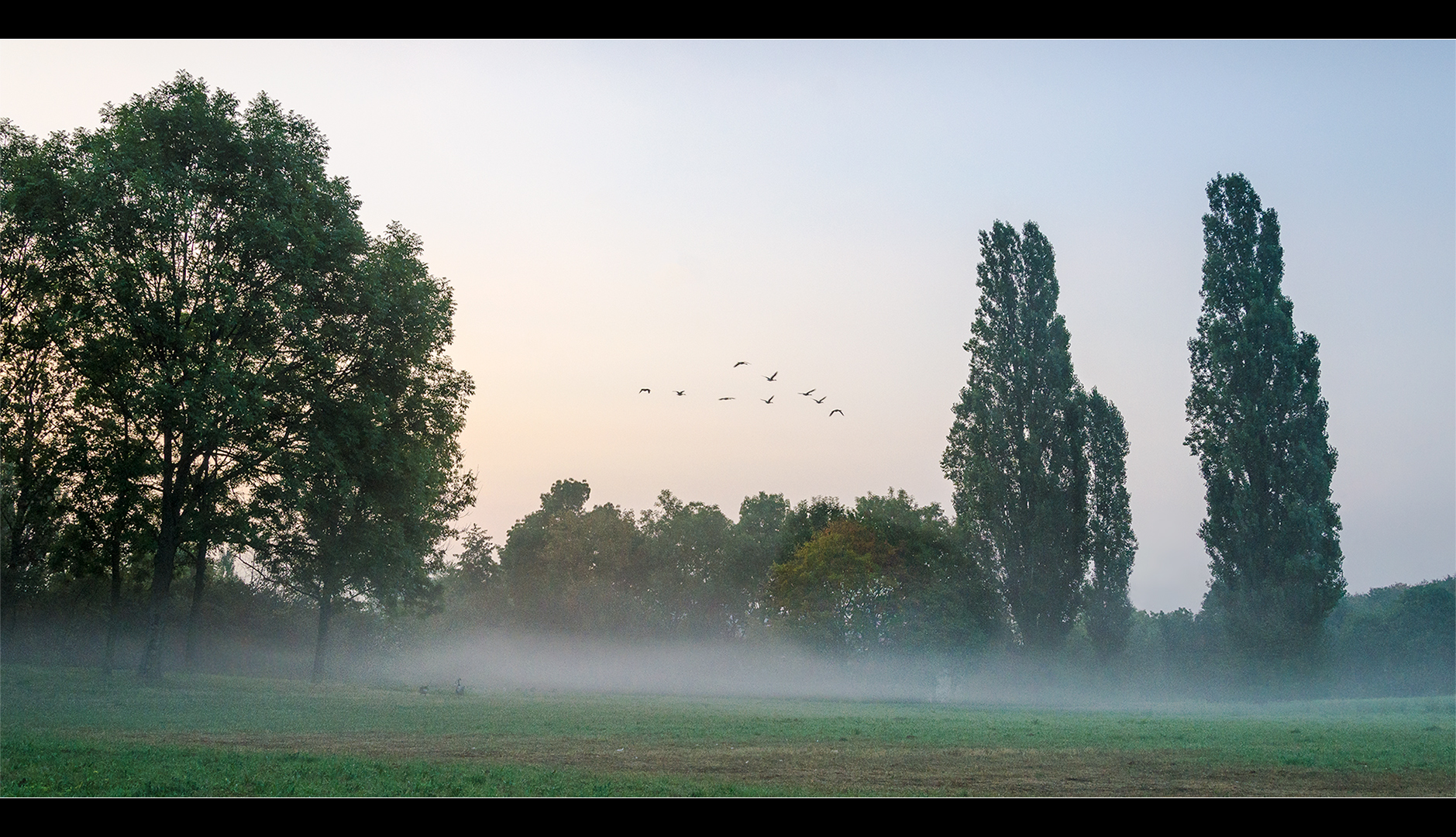 Morgennebel im Südpark  #01