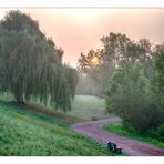 Morgennebel im Südpark  #04