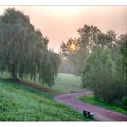 Morgennebel im Südpark  #04