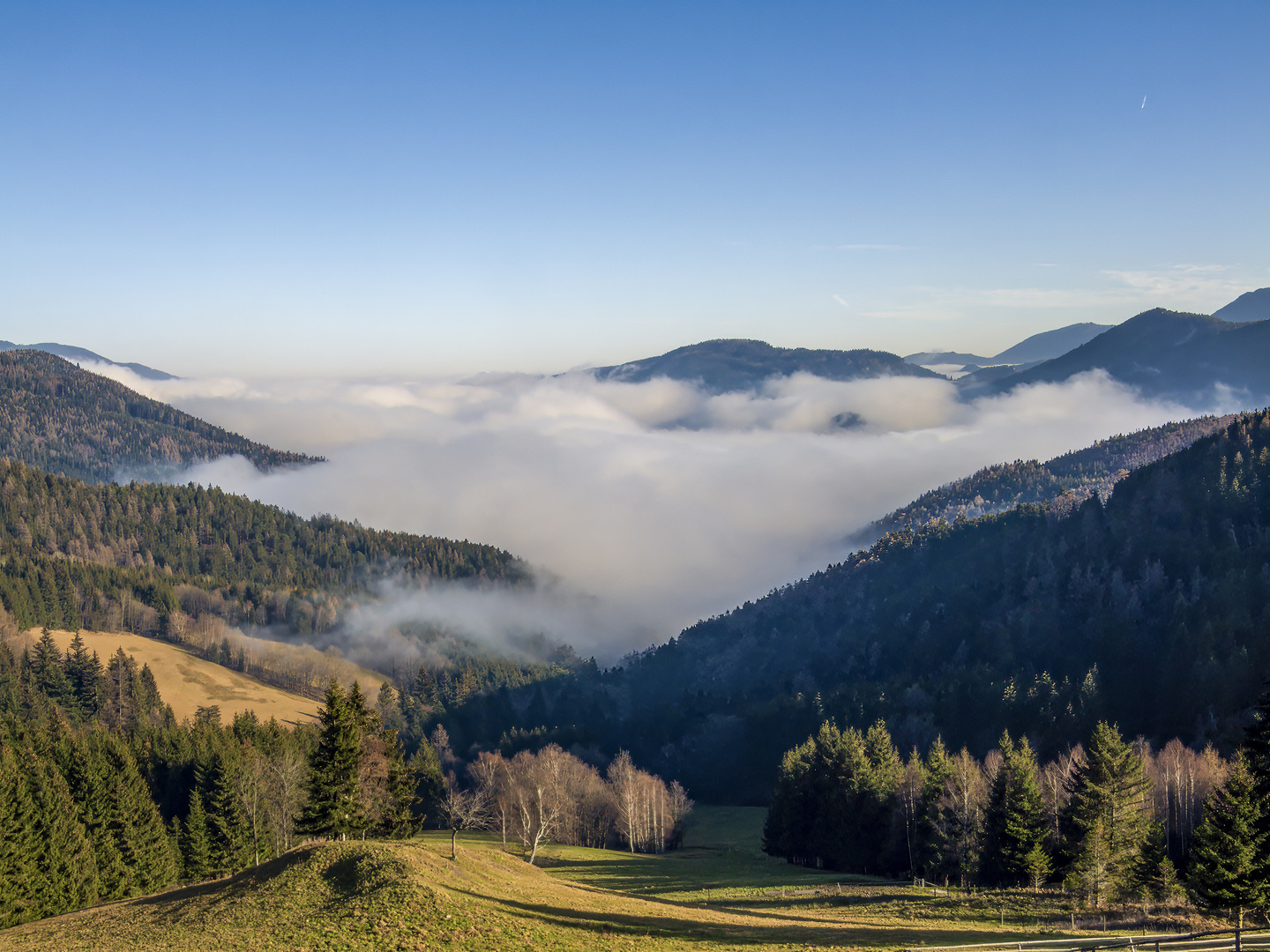 Morgennebel im Tal