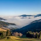 Morgennebel im Tal