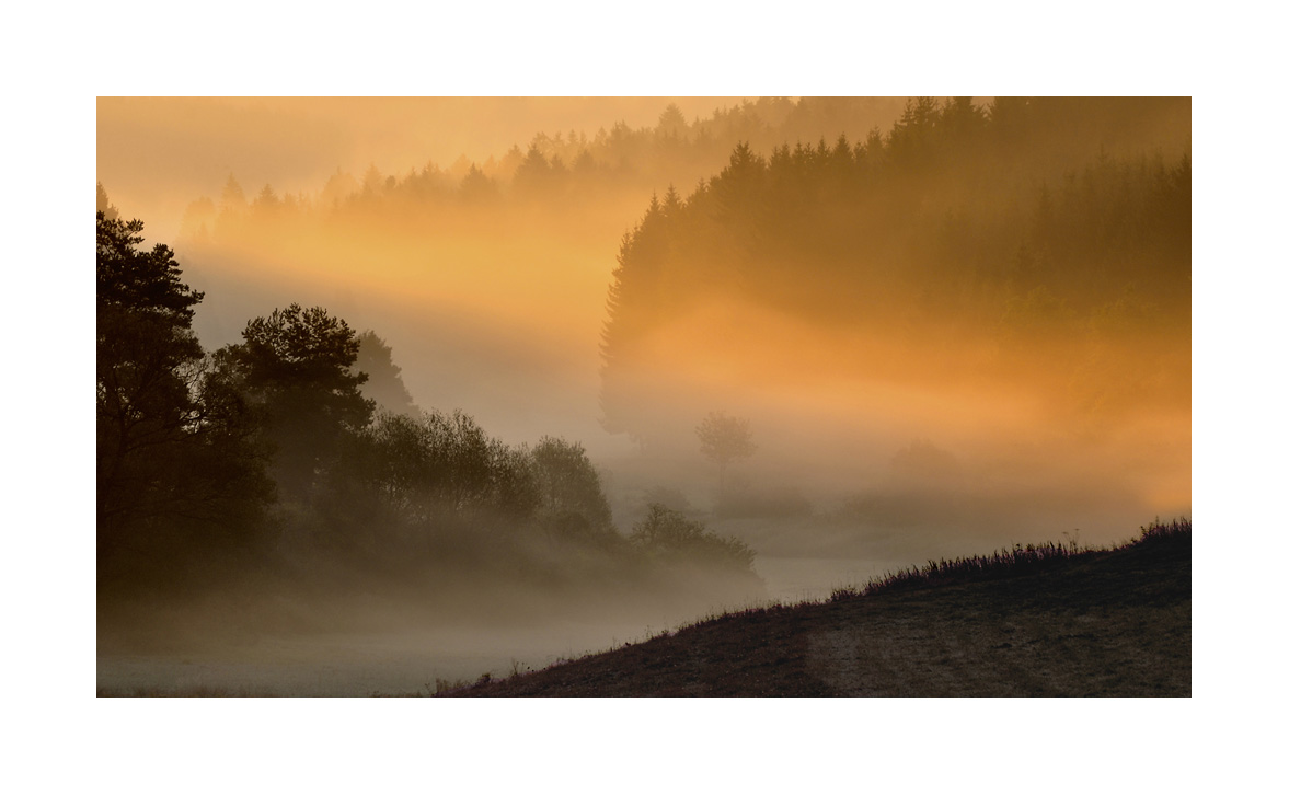 Morgennebel im Tal